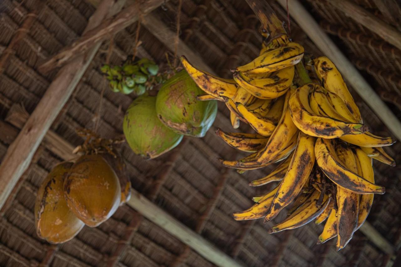 Afriican Village Zanzibar Michamvi Exterior foto